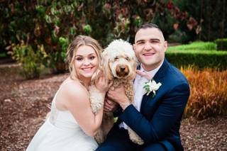 Black Swan Events - 39