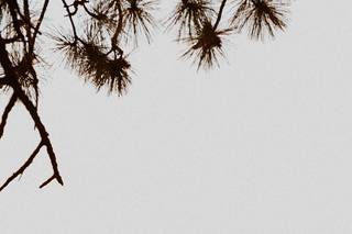 Susanna Brogan Photography - 27