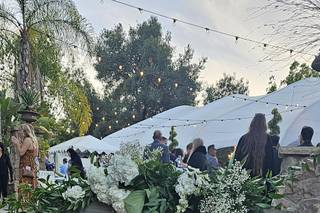 Draping Wedding - 76