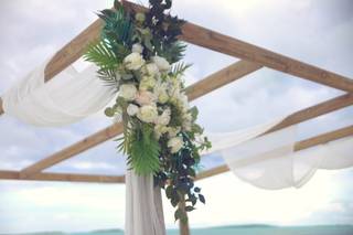 IMAGES by Alexander (Bahamas) - 8