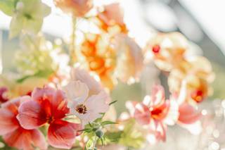Lacey Michelle Photography - 5