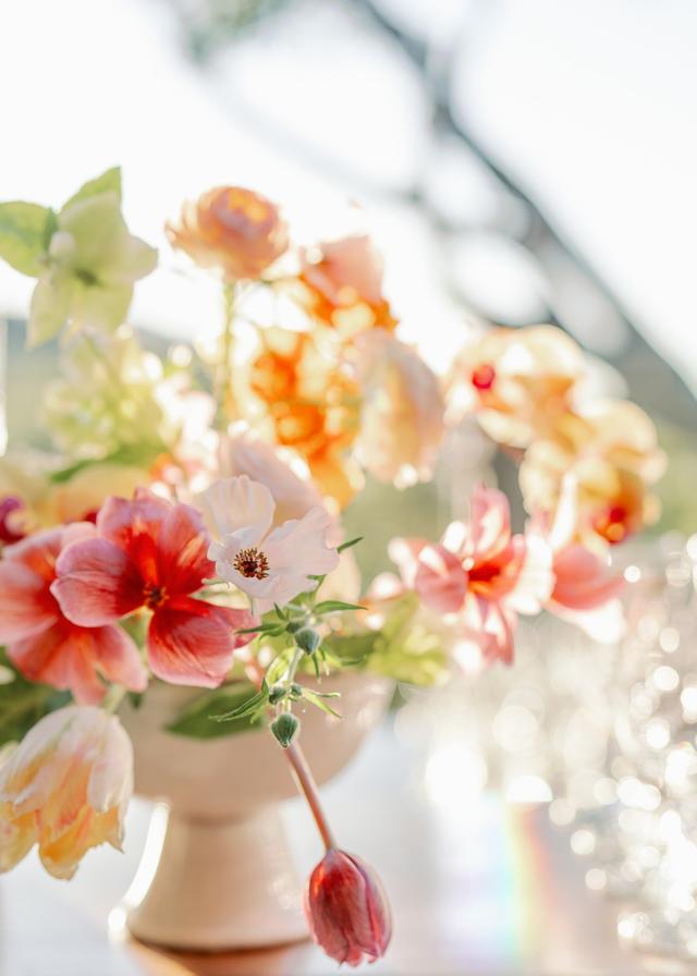 Lacey Michelle Photography - 2