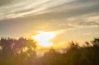 Anne Lord Photography - 17
