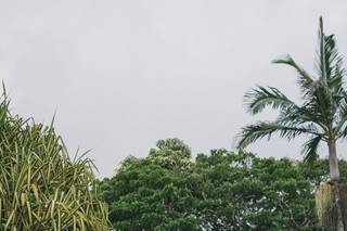 Isle Media - Photography - 10
