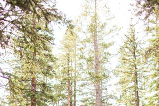 Once West Photography - 34