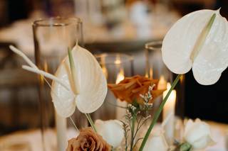 Golden Thistle Design - 32