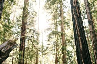 Samantha Turchin Photographs - 10