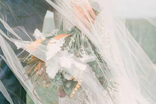 Carly Michelle Photography - 7