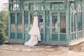 Wynne Photography - 12
