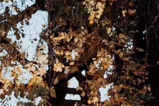 Flit Photography - 11