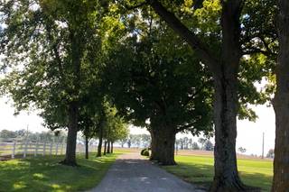 Maple Lane Farm - 13