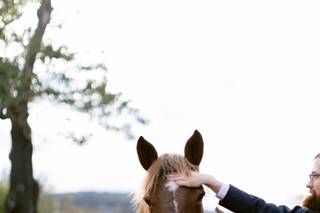 Rounton Farm, LLC - 14