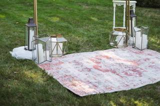 Damselfly Designs - 22