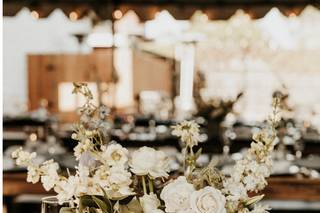 The Ashlyn Company - 6