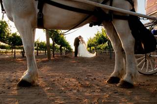 Tender Moments Photography - 5