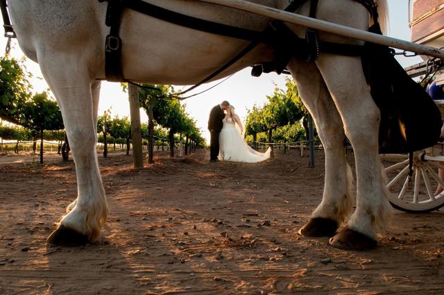 Tender Moments Photography - 1