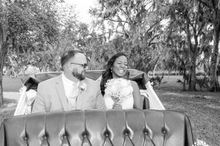 Sweet Southern Horse & Carriage - 13