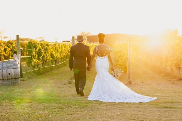Sanctuary Vineyards 2