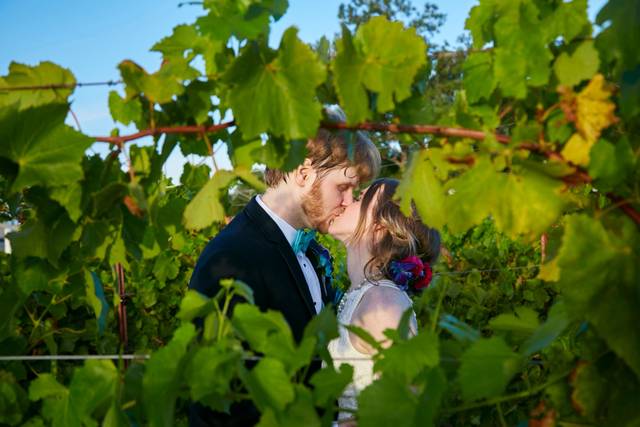 Haak Vineyards & Winery 2