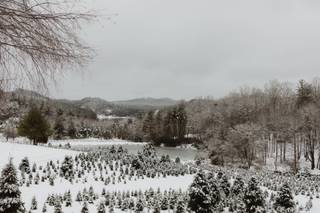 Chimney Pond Farm - 64