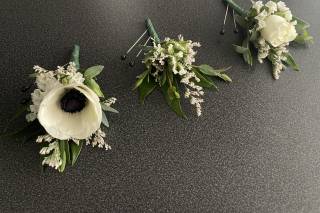 Mayfly Flowers - 73