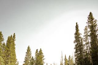 Leah Schlecht Photography - 13