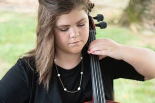 Anderson String Quartet - 10