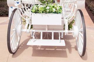 David and Vicki Arndt Photography - 21