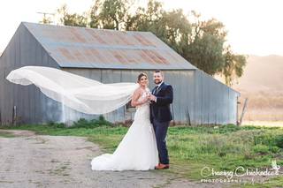 Chasing Chickadees Photography - 34