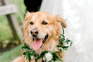 Dani White Photography - 8