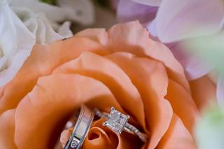 Radiant Photography by Sydney Danielle - 20