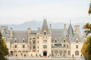 Natasha Dale Photography - 17