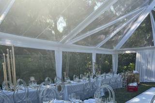The Wedding Planner Plus 3