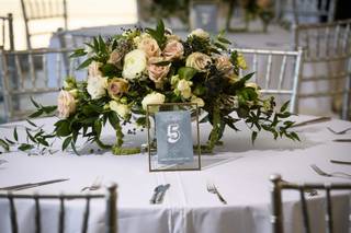 Aureate Florals - 19