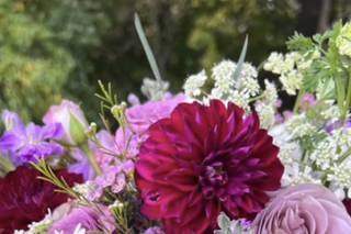 Stargazers Designs - 21