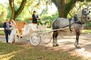 Charleston Wedding Planner - 59
