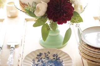 Tammy Klepac Photography - 23