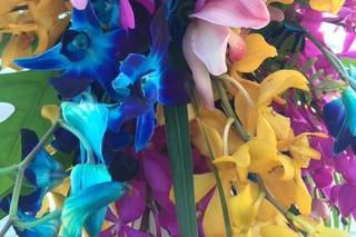 Florescence Floral Designs - 1