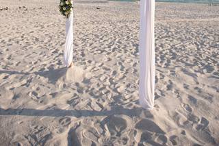 Expert Wedding Productions - 8
