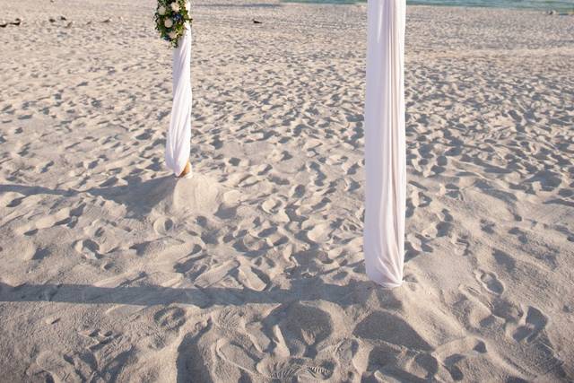 Expert Wedding Productions 2