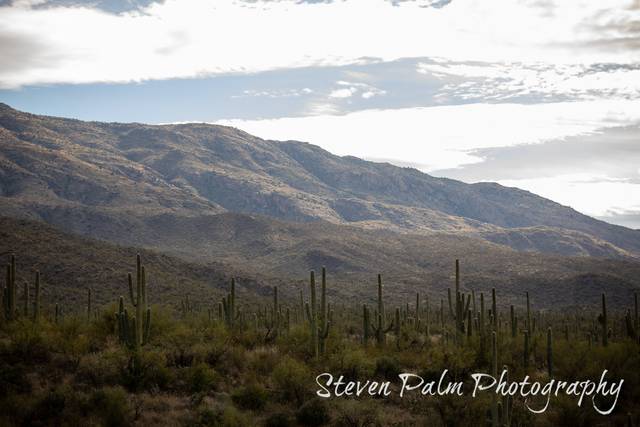 Tanque Verde Ranch 1