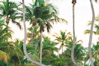 Jannette De Llanos Wedding Photography - 98