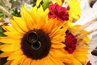 Mohican Flowers - 10