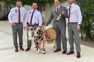 Haul N Ass Productions - 109