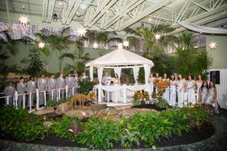 JioArts Photography - 16