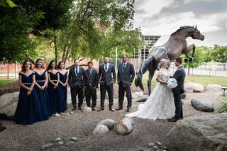 Colin Collins Photography - 8
