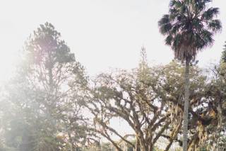 Weddings & Events by Mariana Carmona - 22
