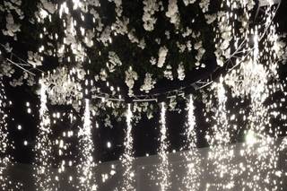 Emmy Jimenez Weddings & Events - 9