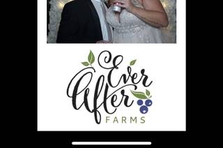 Ever After Farms Blueberry - 38