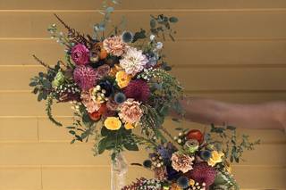 Blooms Dunn Right - 84